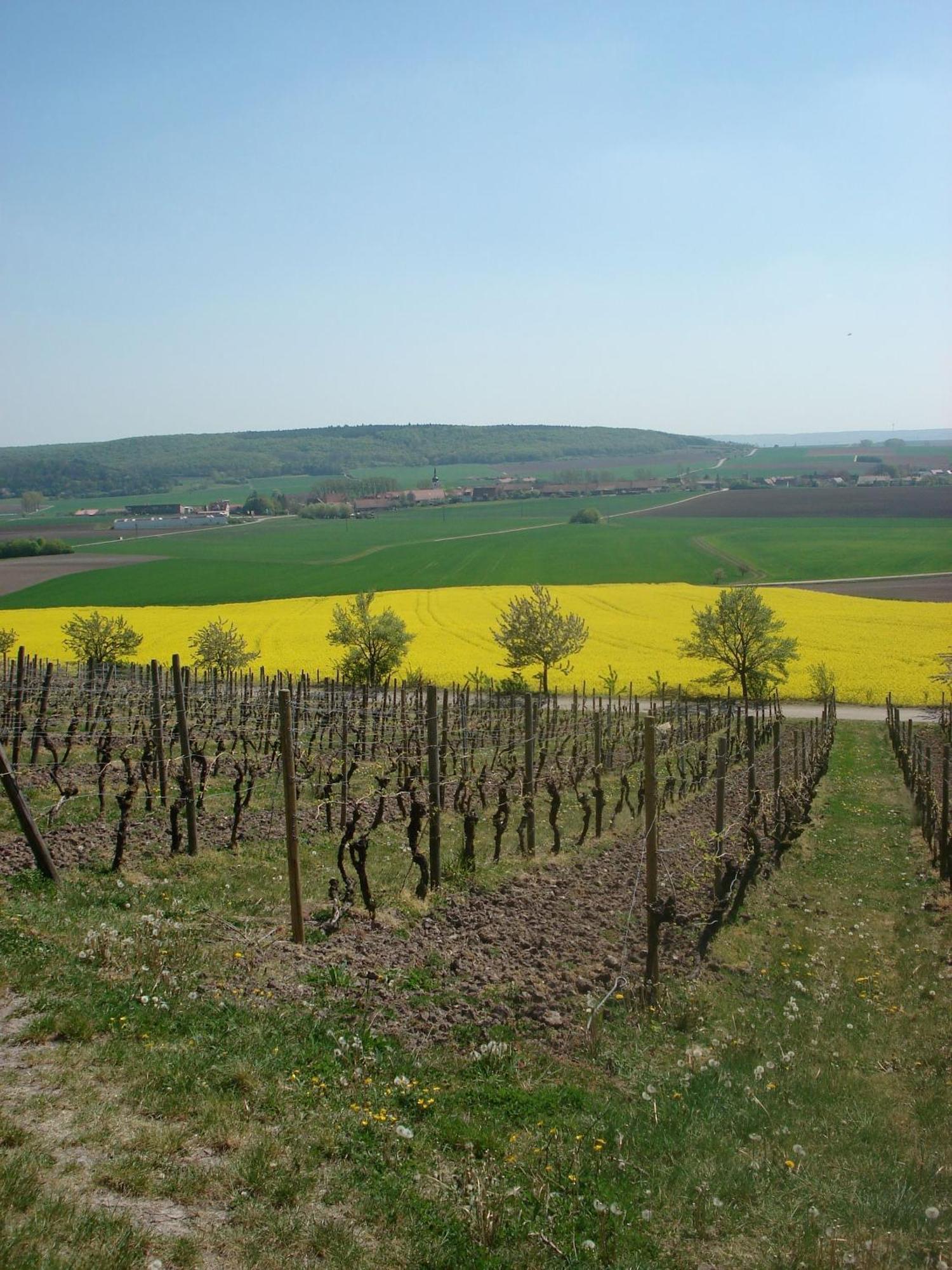 Landgasthof Zum Schwarzen Adler 마크트놀드하임 외부 사진