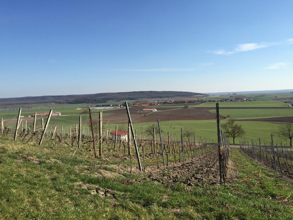 Landgasthof Zum Schwarzen Adler 마크트놀드하임 외부 사진